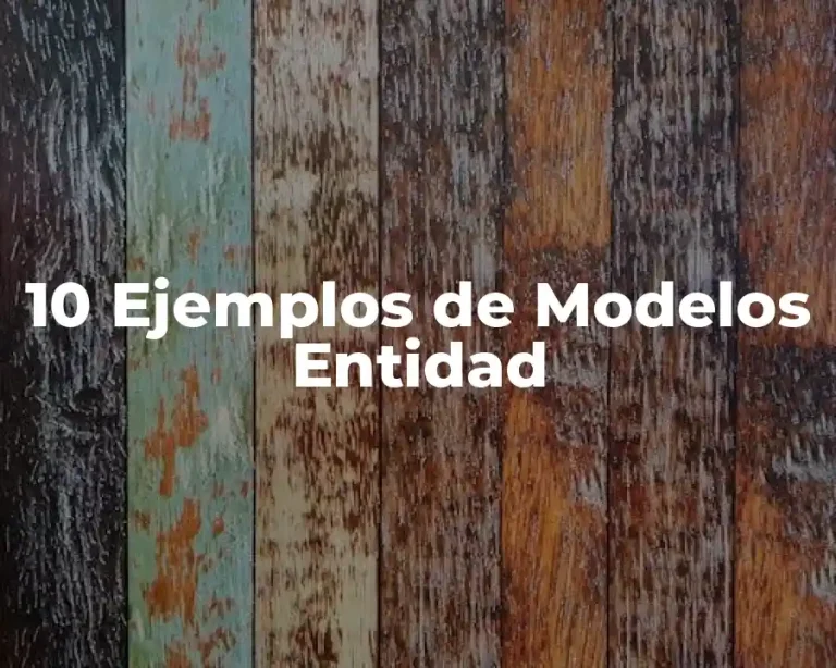 10 Ejemplos de Modelos Entidad