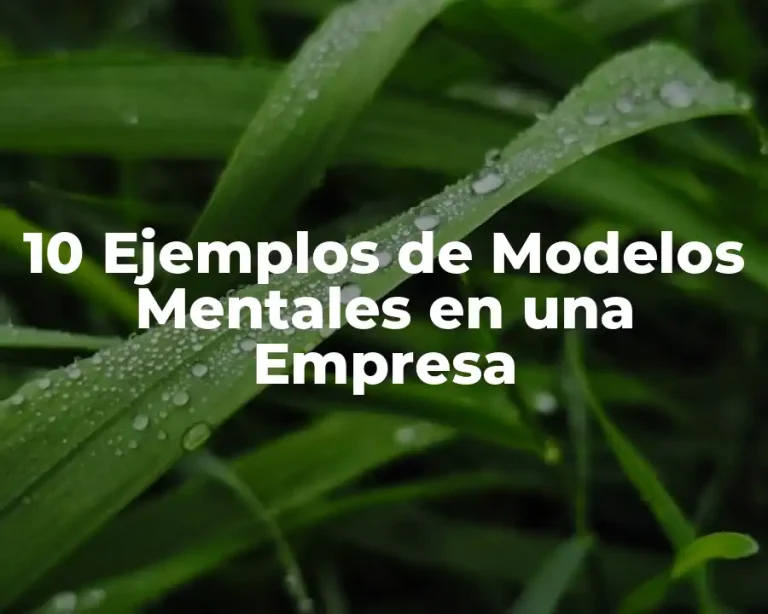 10 Ejemplos de Modelos Mentales en una Empresa