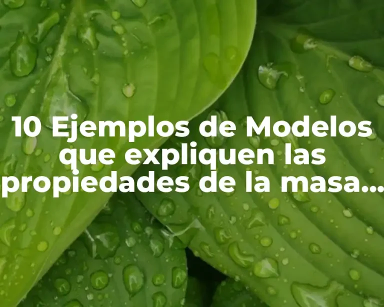 10 Ejemplos de Modelos que expliquen las propiedades de la masa volumen