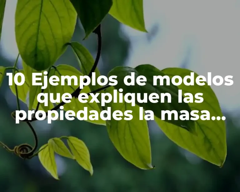 10 Ejemplos de modelos que expliquen las propiedades la masa volumen