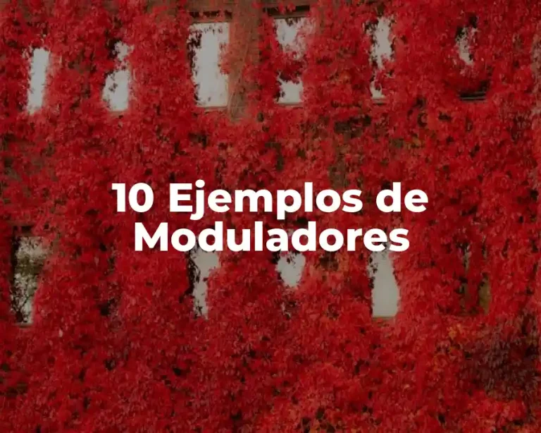 10 Ejemplos de Moduladores