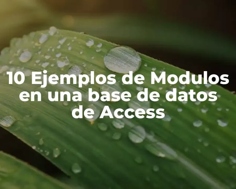 10 Ejemplos de Modulos en una base de datos de Access