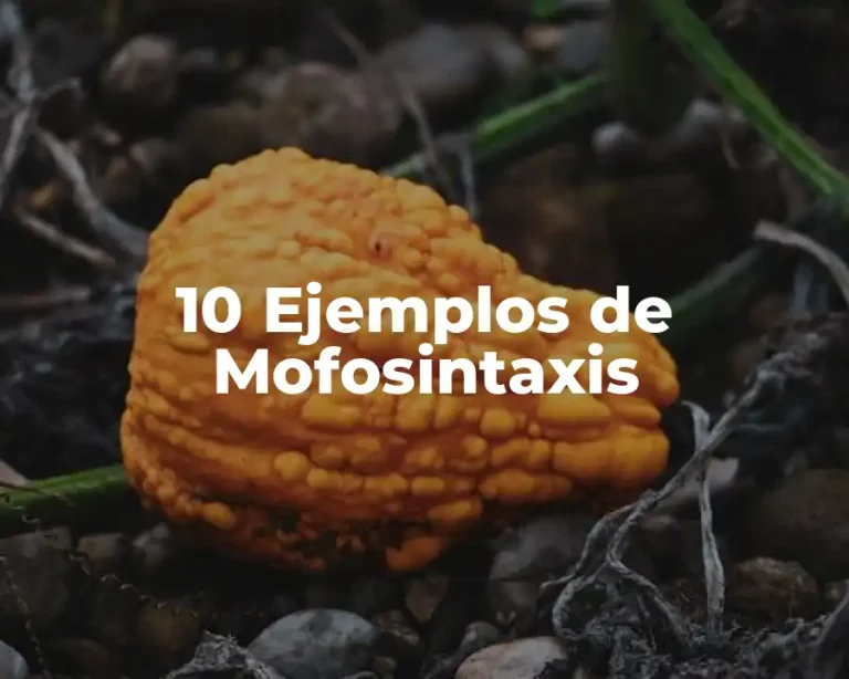 10 Ejemplos de Mofosintaxis