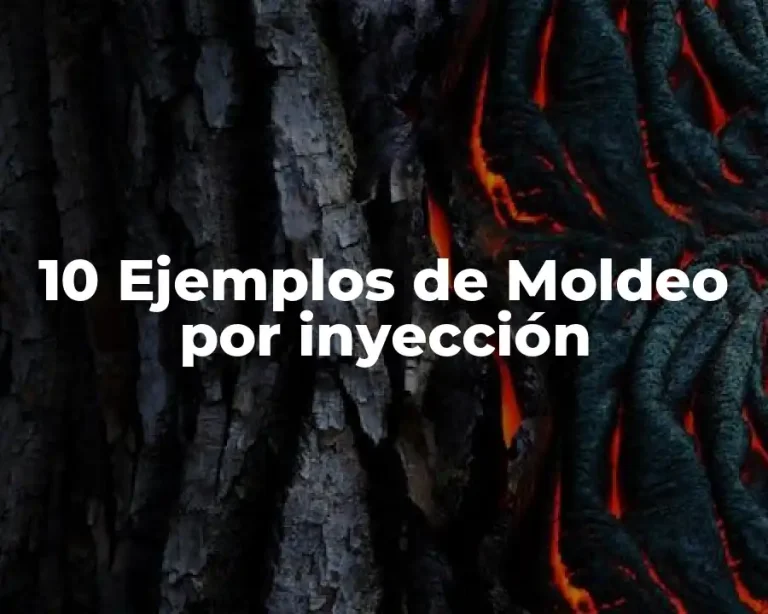10 Ejemplos de Moldeo por inyección