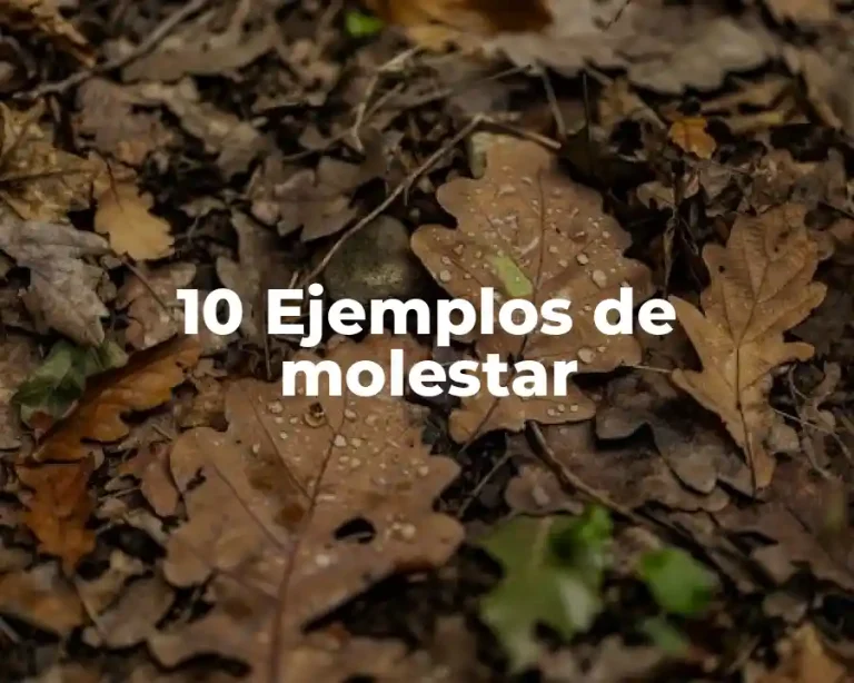 10 Ejemplos de molestar