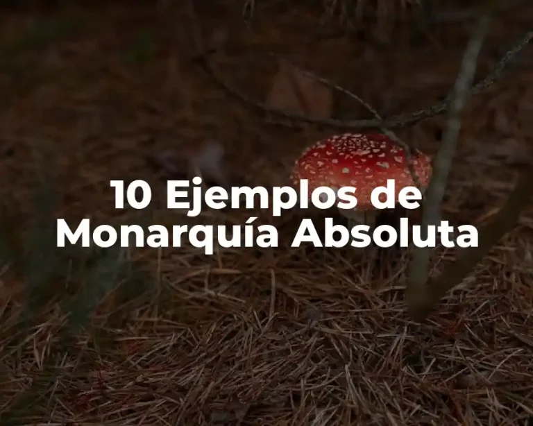 10 Ejemplos de Monarquía Absoluta