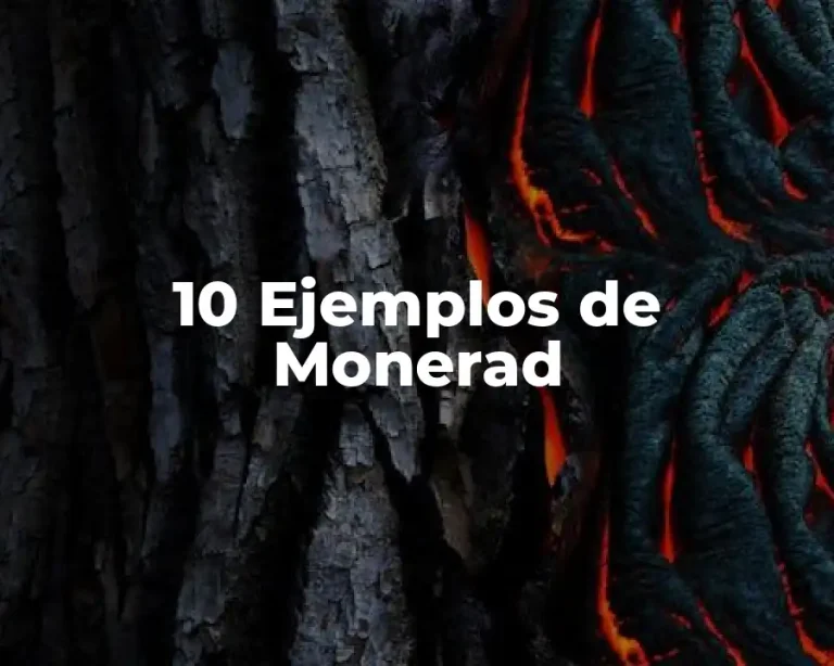 10 Ejemplos de Monerad