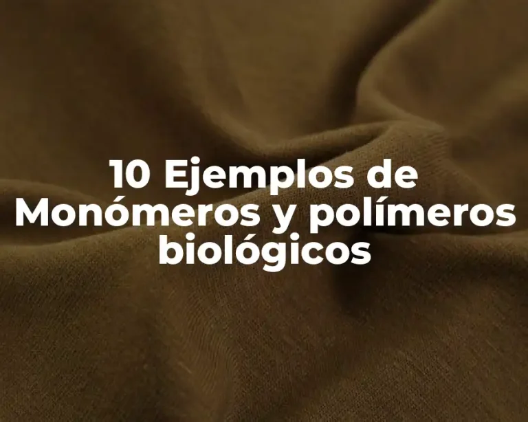 10 Ejemplos de Monómeros y polímeros biológicos