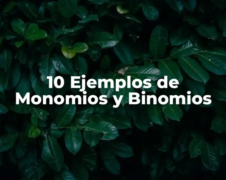 10 Ejemplos de Monomios y Binomios
