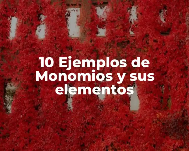 10 Ejemplos de Monomios y sus elementos