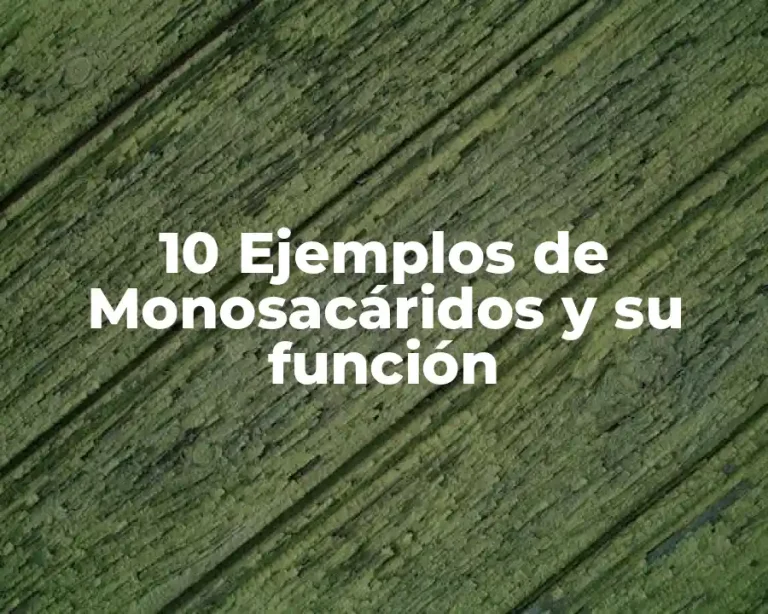 10 Ejemplos de Monosacáridos y su función