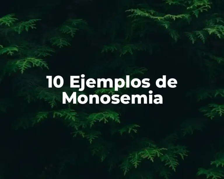 10 Ejemplos de Monosemia