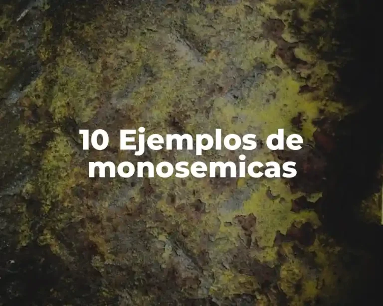 10 Ejemplos de monosemicas