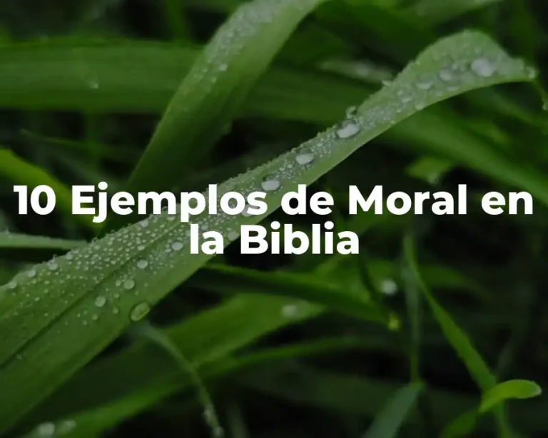 10 Ejemplos de Moral en la Biblia