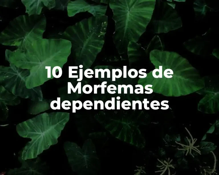 10 Ejemplos de Morfemas dependientes