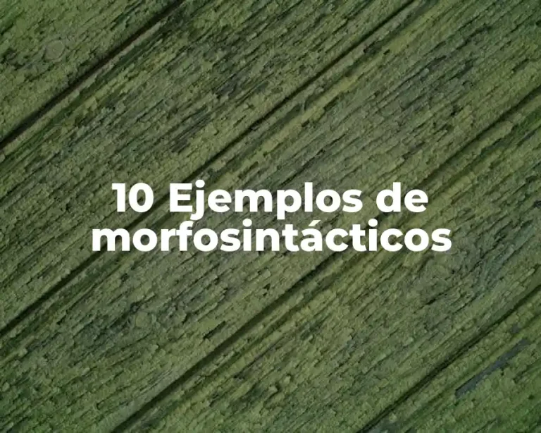 10 Ejemplos de morfosintácticos