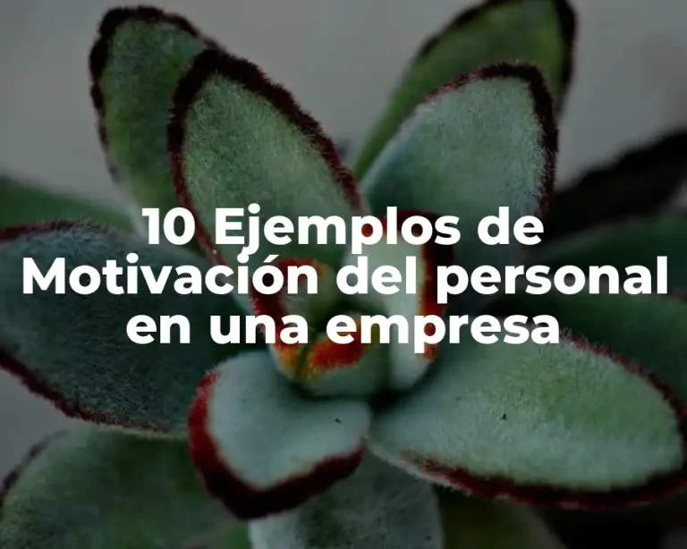 10 Ejemplos de Motivación del personal en una empresa