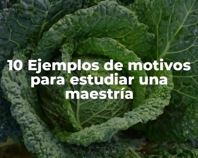 10 Ejemplos de motivos para estudiar una maestría
