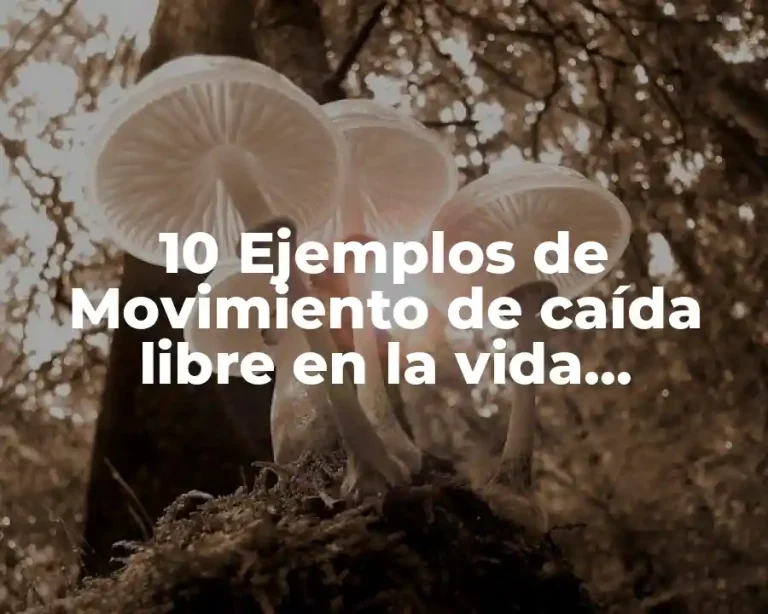 10 Ejemplos de Movimiento de caída libre en la vida cotidiana