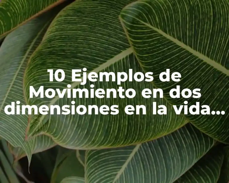 10 Ejemplos de Movimiento en dos dimensiones en la vida cotidiana