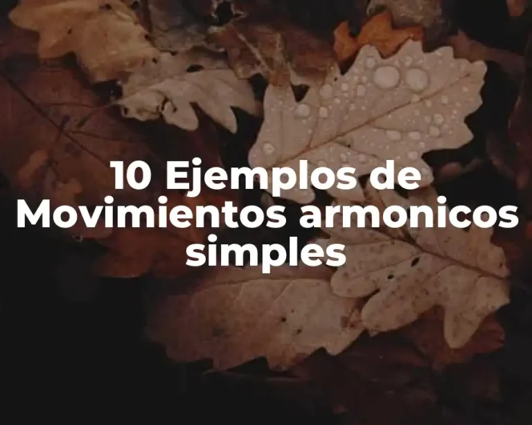 10 Ejemplos de Movimientos armonicos simples