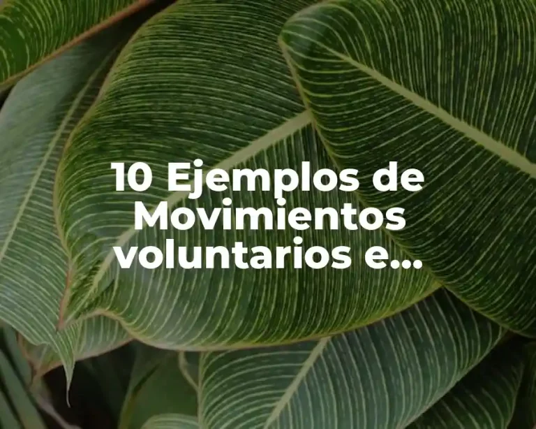 10 Ejemplos de Movimientos voluntarios e involuntarios del cuerpo