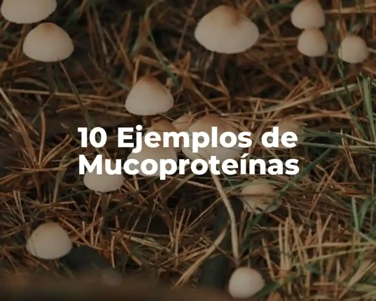 10 Ejemplos de Mucoproteínas