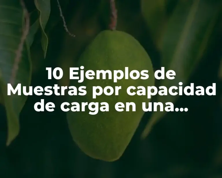 10 Ejemplos de Muestras por capacidad de carga en una construcción