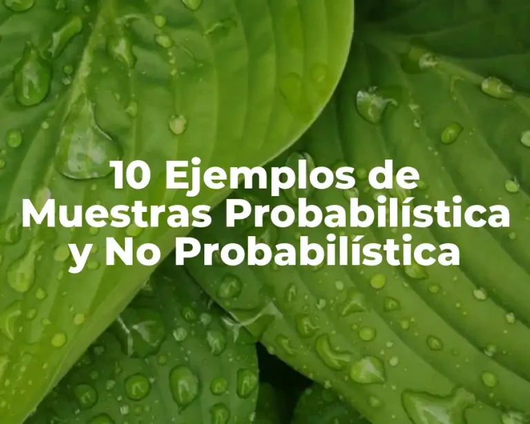 10 Ejemplos de Muestras Probabilística y No Probabilística