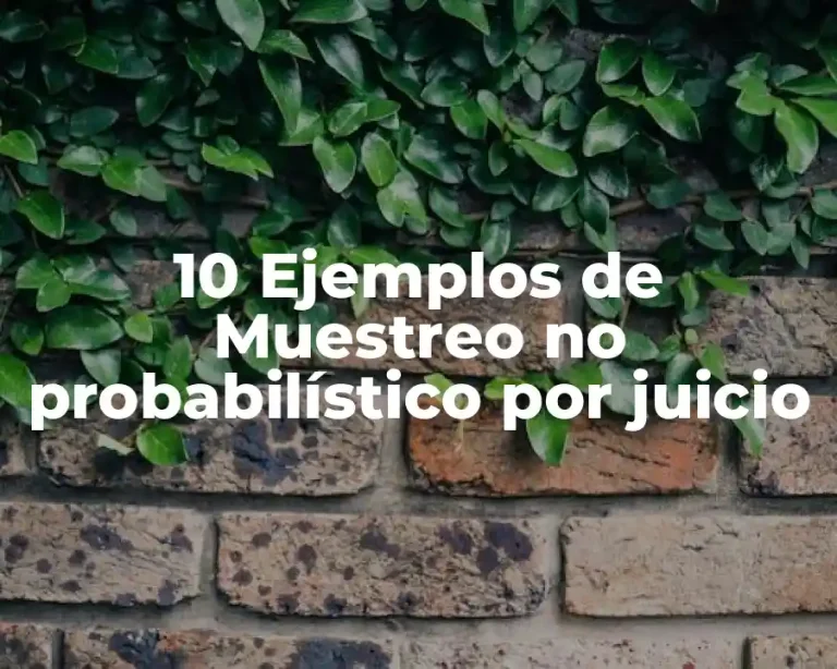 10 Ejemplos de Muestreo no probabilístico por juicio