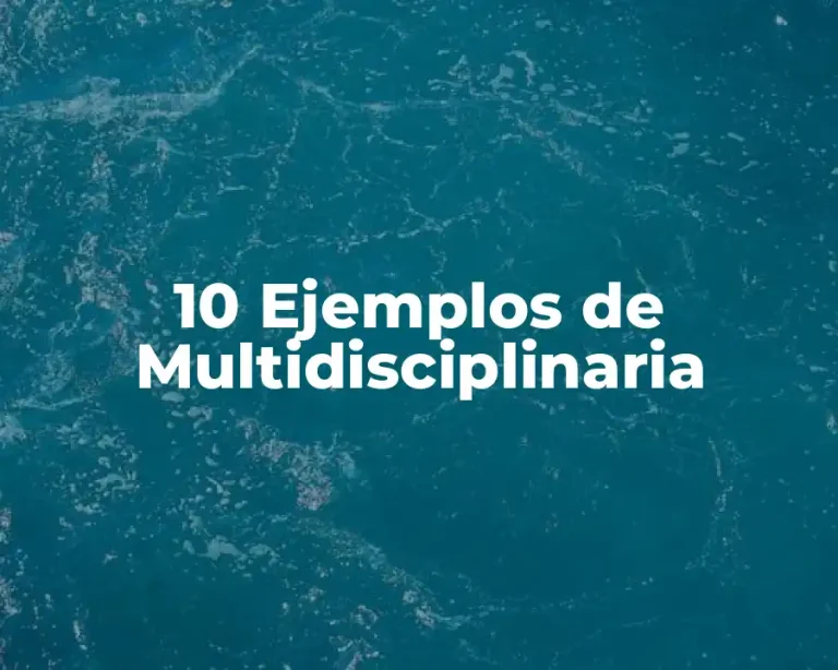 10 Ejemplos de Multidisciplinaria