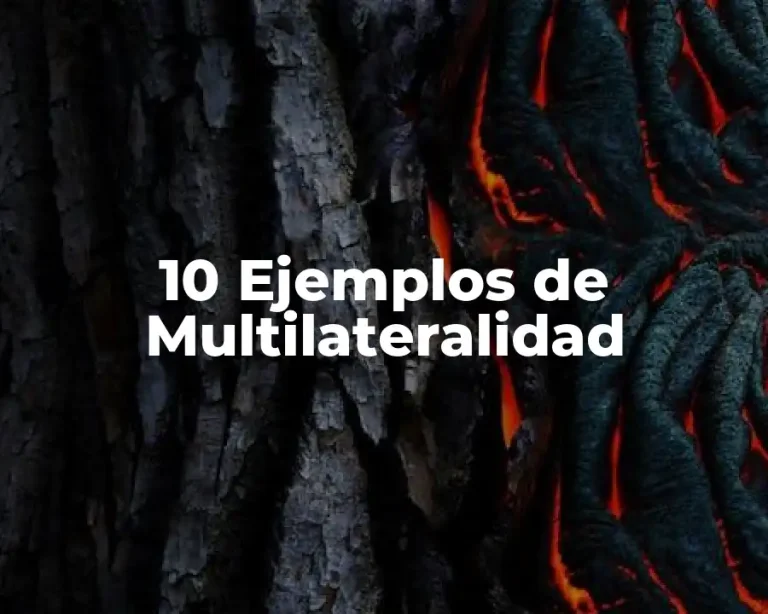 10 Ejemplos de Multilateralidad