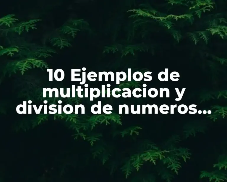 10 Ejemplos de multiplicacion y division de numeros con signo