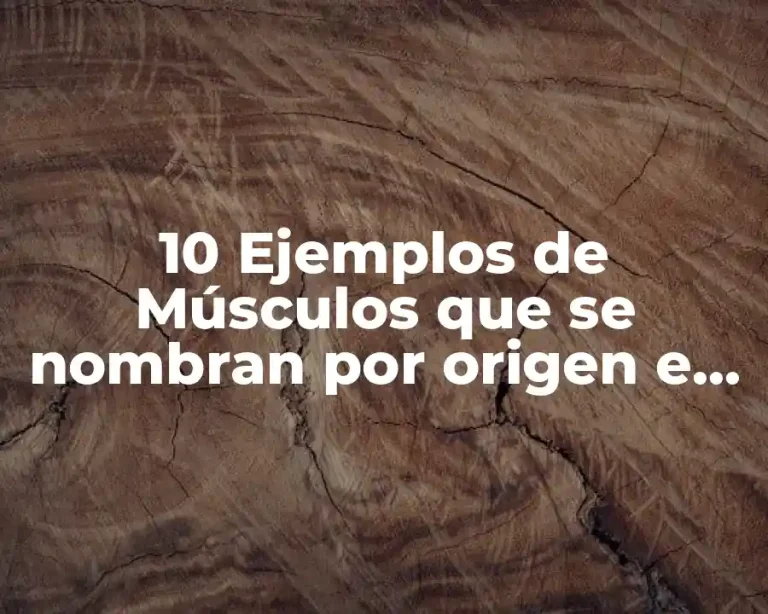 10 Ejemplos de Músculos que se nombran por origen e inserción