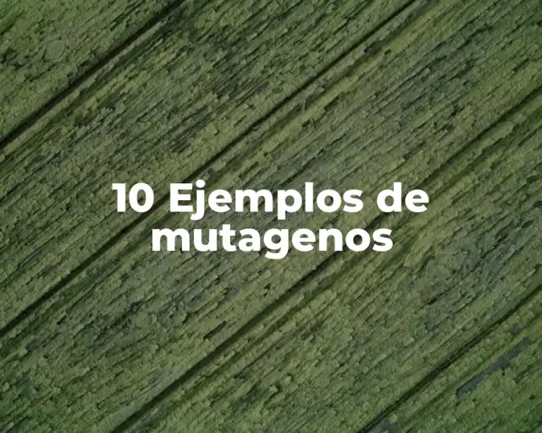 10 Ejemplos de mutagenos