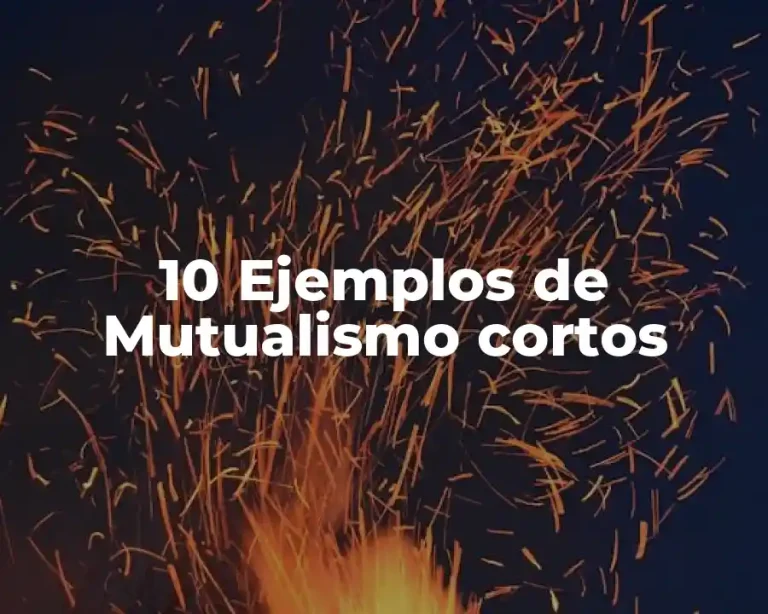 10 Ejemplos de Mutualismo cortos