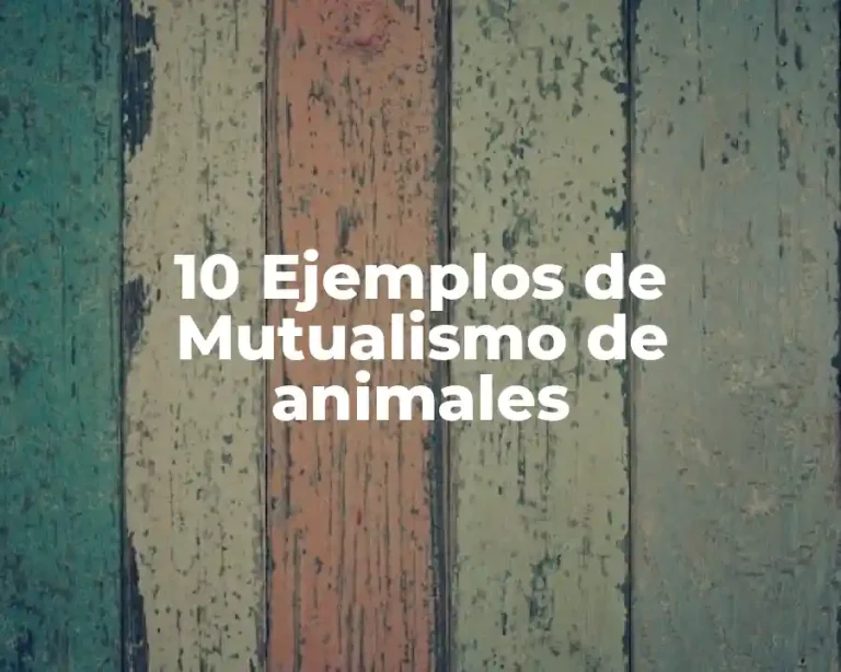 10 Ejemplos de Mutualismo de animales