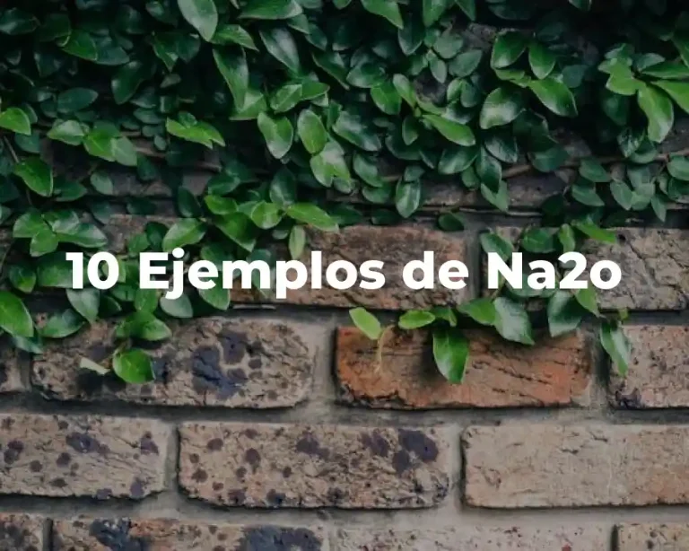10 Ejemplos de Na2o