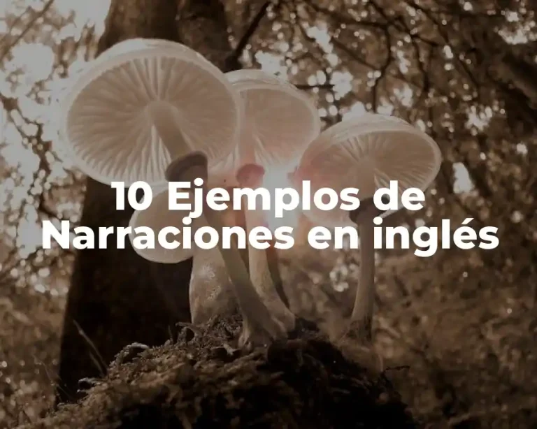 10 Ejemplos de Narraciones en inglés
