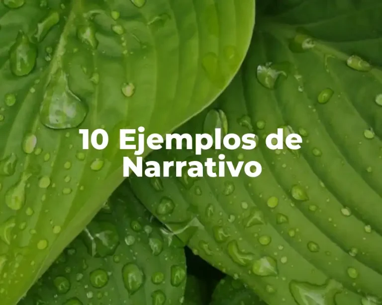 10 Ejemplos de Narrativo