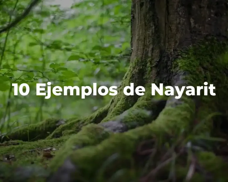 10 Ejemplos de Nayarit