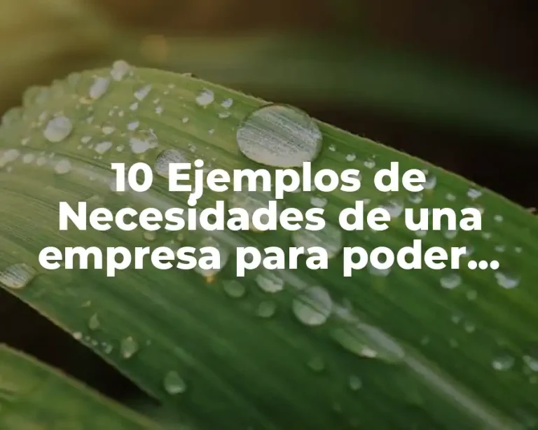 10 Ejemplos de Necesidades de una empresa para poder innovar