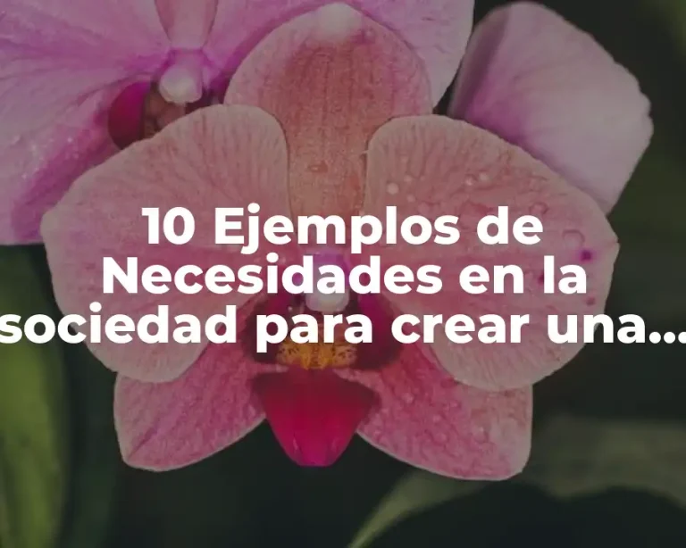 10 Ejemplos de Necesidades en la sociedad para crear una empresa