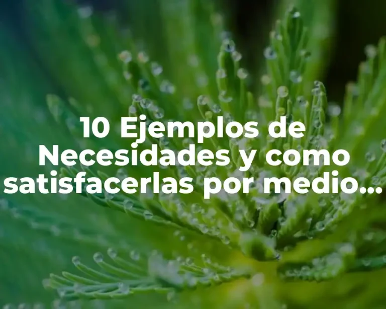 10 Ejemplos de Necesidades y como satisfacerlas por medio de organigramas