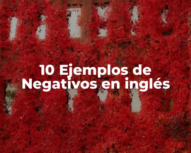 10 Ejemplos de Negativos en inglés