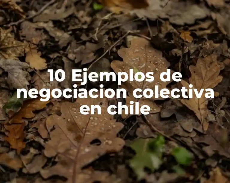 10 Ejemplos de negociacion colectiva en chile