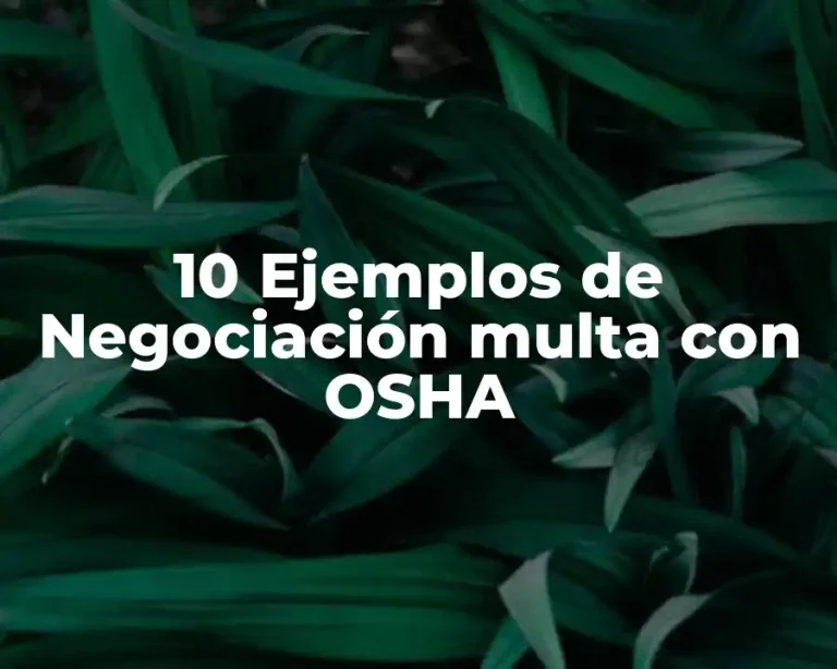 10 Ejemplos de Negociación multa con OSHA