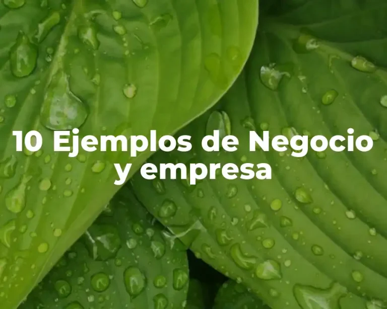 10 Ejemplos de Negocio y empresa