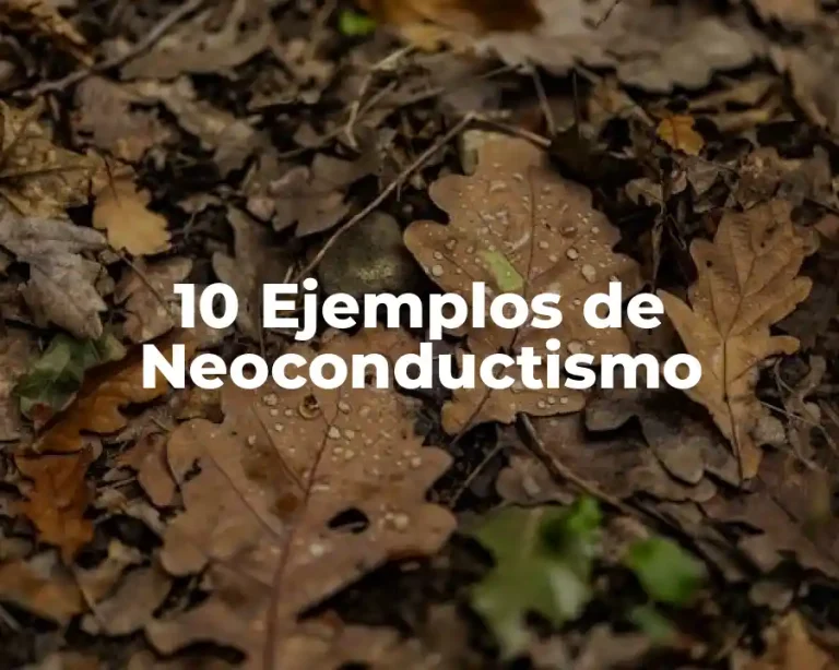 10 Ejemplos de Neoconductismo