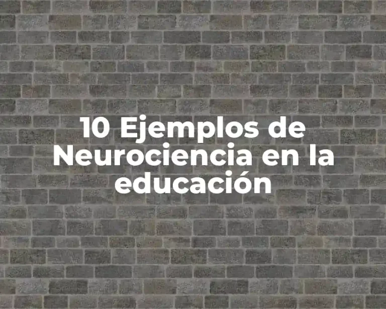 10 Ejemplos de Neurociencia en la educación